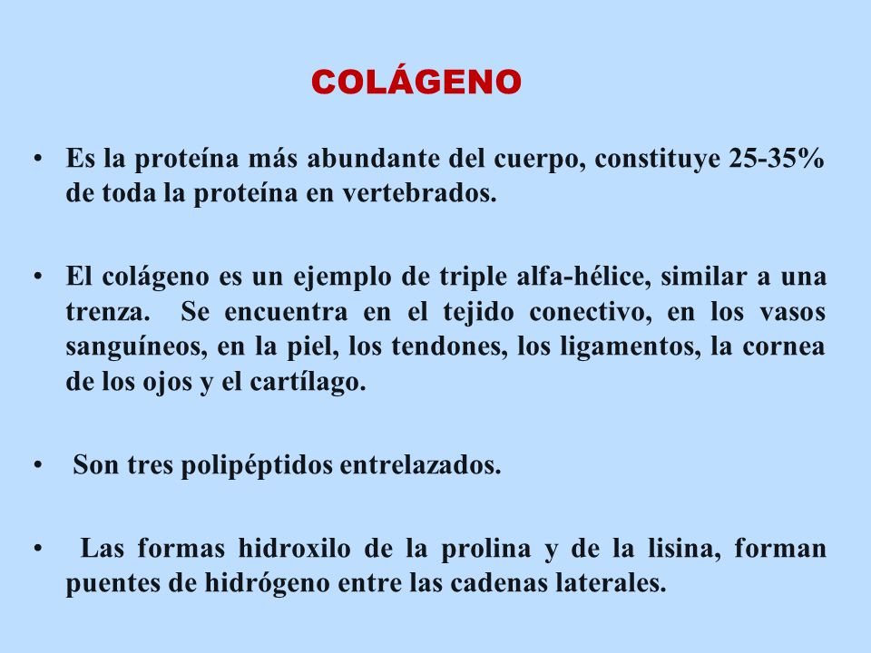 COLÁGENO Es la proteína más abundante del cuerpo, constituye 25-35% de toda la proteína en vertebrados.