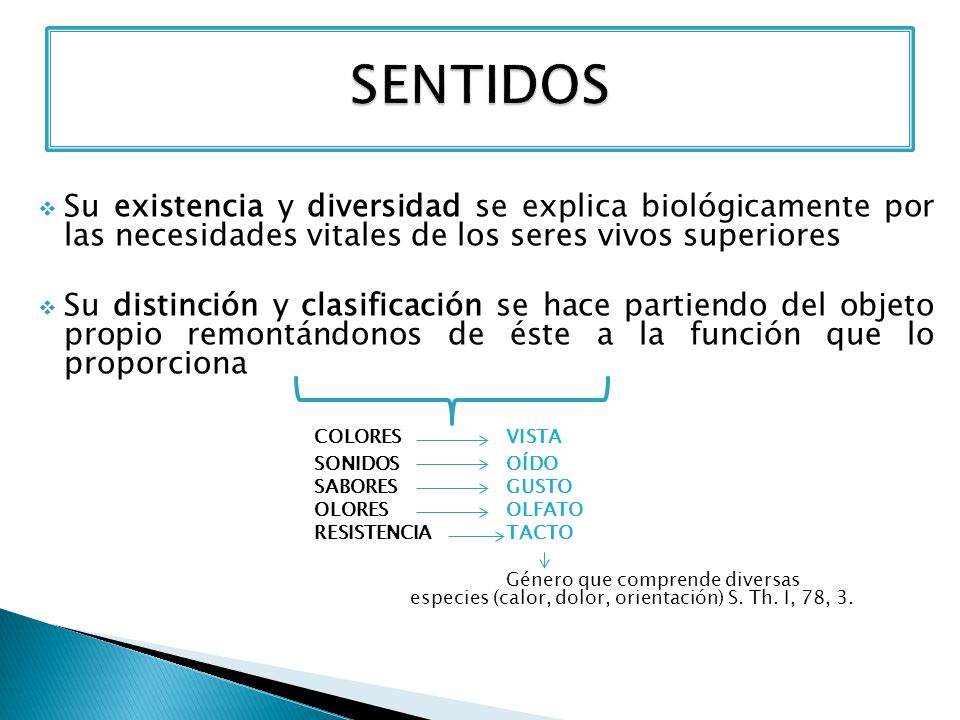 SENTIDOS Su existencia y diversidad se explica biológicamente por las necesidades vitales de los seres vivos superiores.