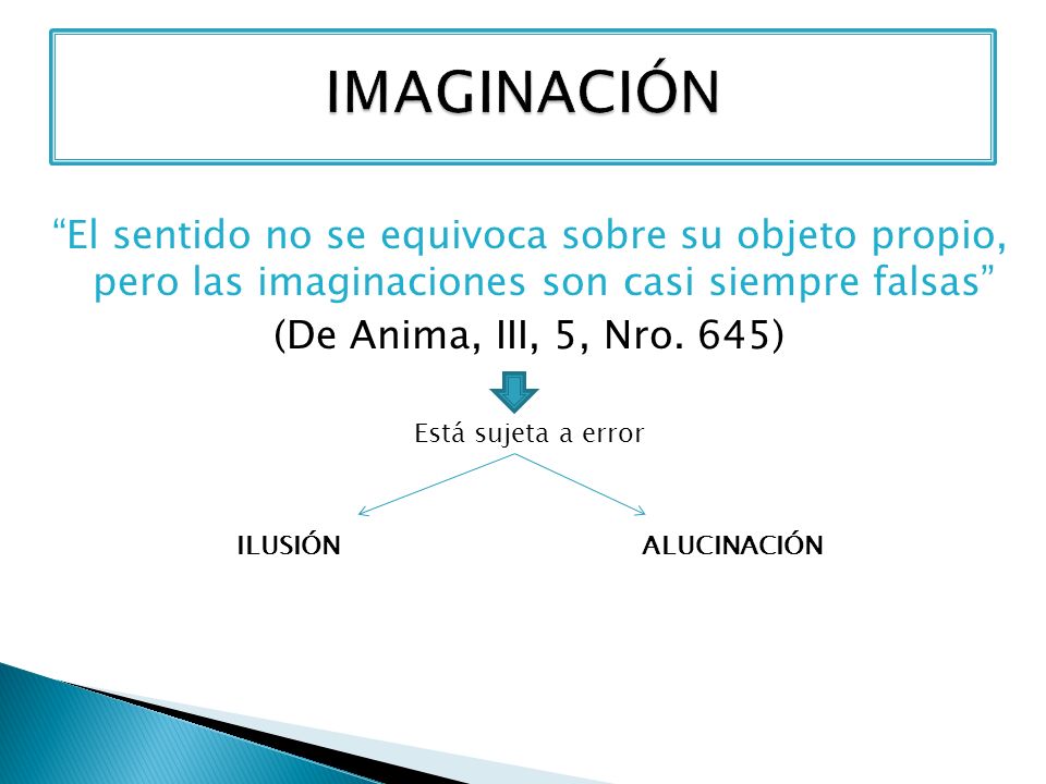 IMAGINACIÓN El sentido no se equivoca sobre su objeto propio, pero las imaginaciones son casi siempre falsas