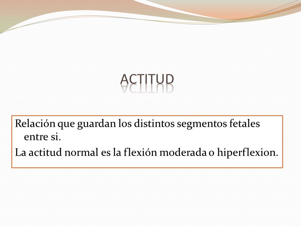 ACTITUD Relación que guardan los distintos segmentos fetales entre si.