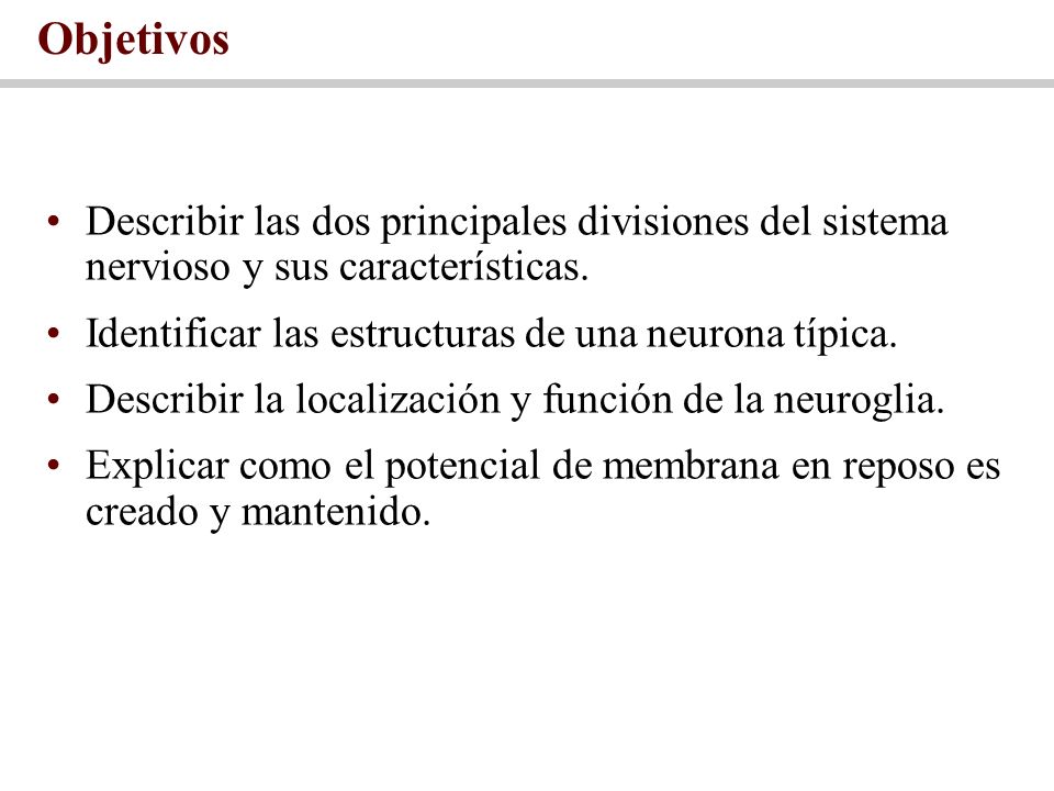Objetivos Describir las dos principales divisiones del sistema nervioso y sus características. Identificar las estructuras de una neurona típica.