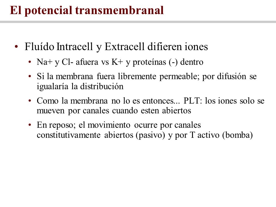 El potencial transmembranal