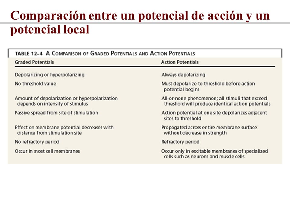 Comparación entre un potencial de acción y un potencial local