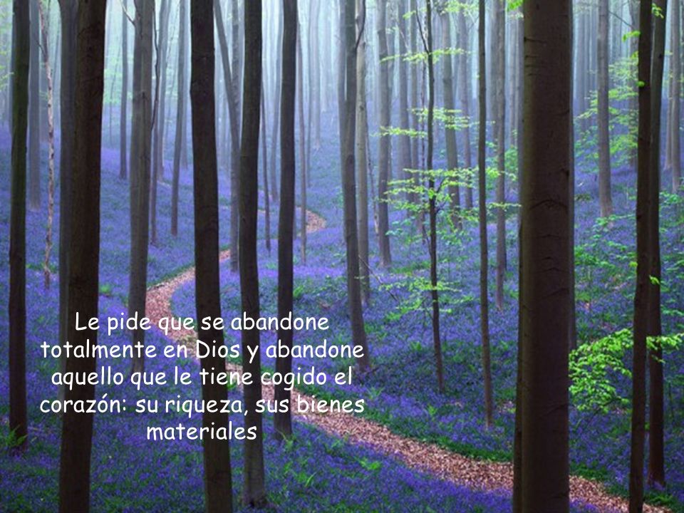Le pide que se abandone totalmente en Dios y abandone aquello que le tiene cogido el corazón: su riqueza, sus bienes materiales