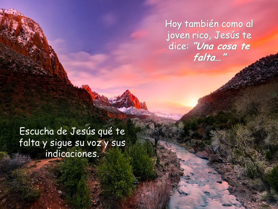 Hoy también como al joven rico, Jesús te dice: Una cosa te falta…