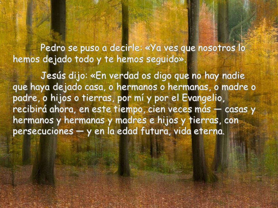 Pedro se puso a decirle: «Ya ves que nosotros lo hemos dejado todo y te hemos seguido».