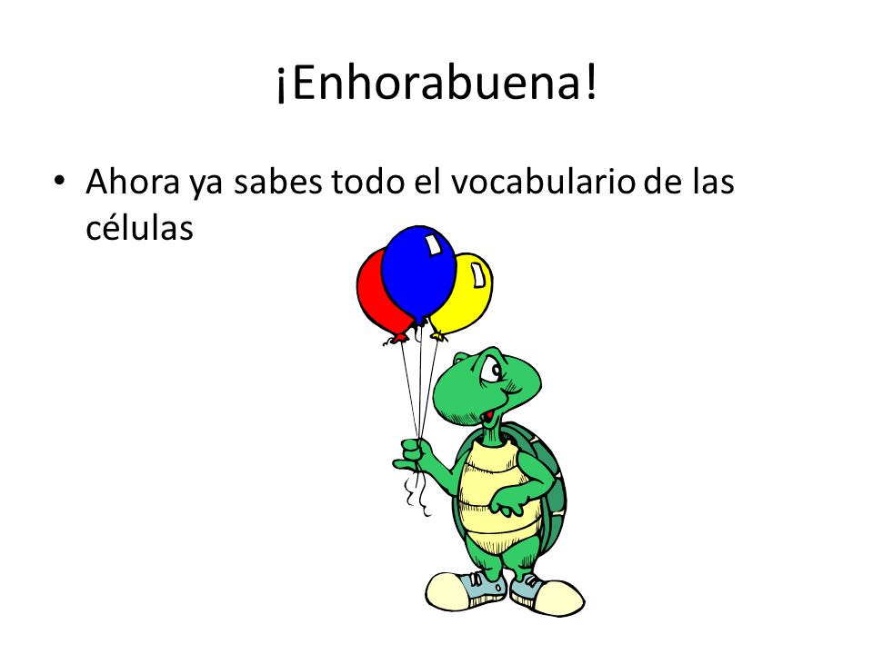 ¡Enhorabuena! Ahora ya sabes todo el vocabulario de las células
