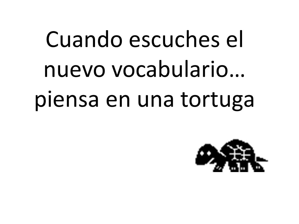 Cuando escuches el nuevo vocabulario… piensa en una tortuga
