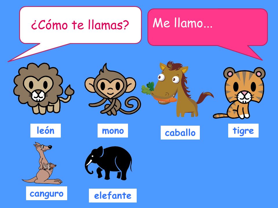 ¿Cómo te llamas Me llamo... león mono tigre caballo canguro elefante