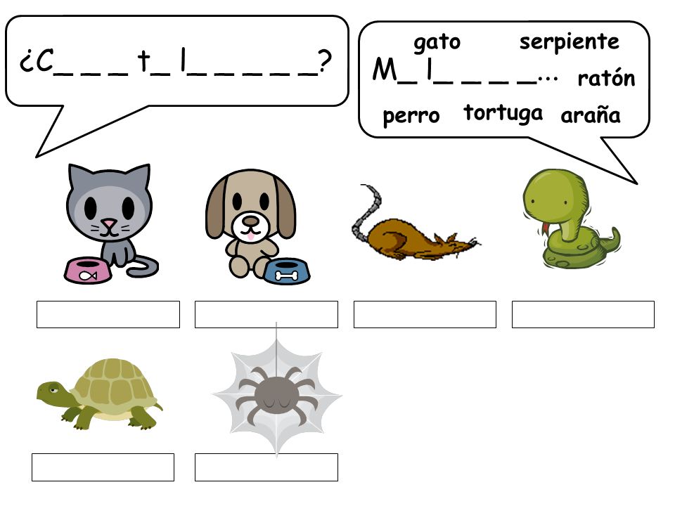 ¿C_ _ _ t_ l_ _ _ _ _ M_ l_ _ _ _... gato serpiente ratón perro