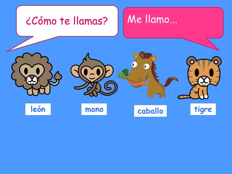 ¿Cómo te llamas Me llamo... león mono tigre caballo recap