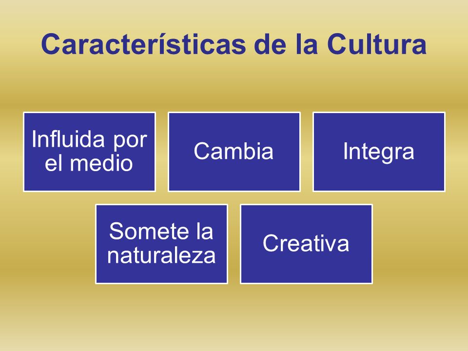 Características de la Cultura
