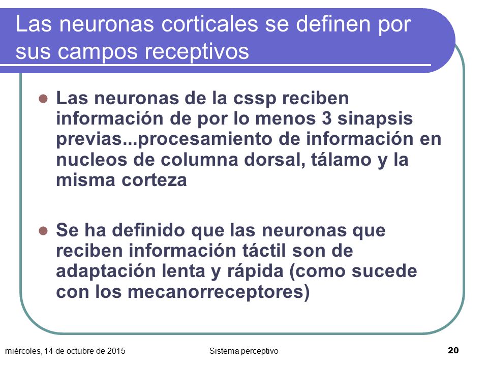 Las neuronas corticales se definen por sus campos receptivos