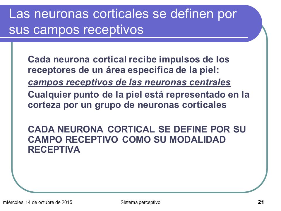 Las neuronas corticales se definen por sus campos receptivos