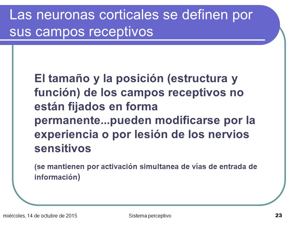 Las neuronas corticales se definen por sus campos receptivos
