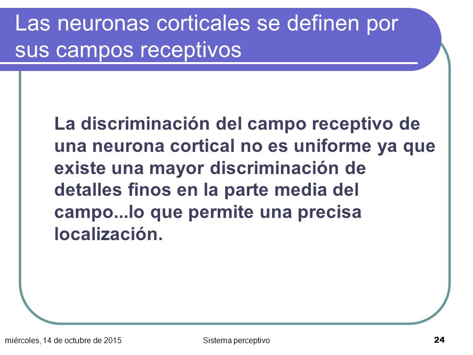 Las neuronas corticales se definen por sus campos receptivos