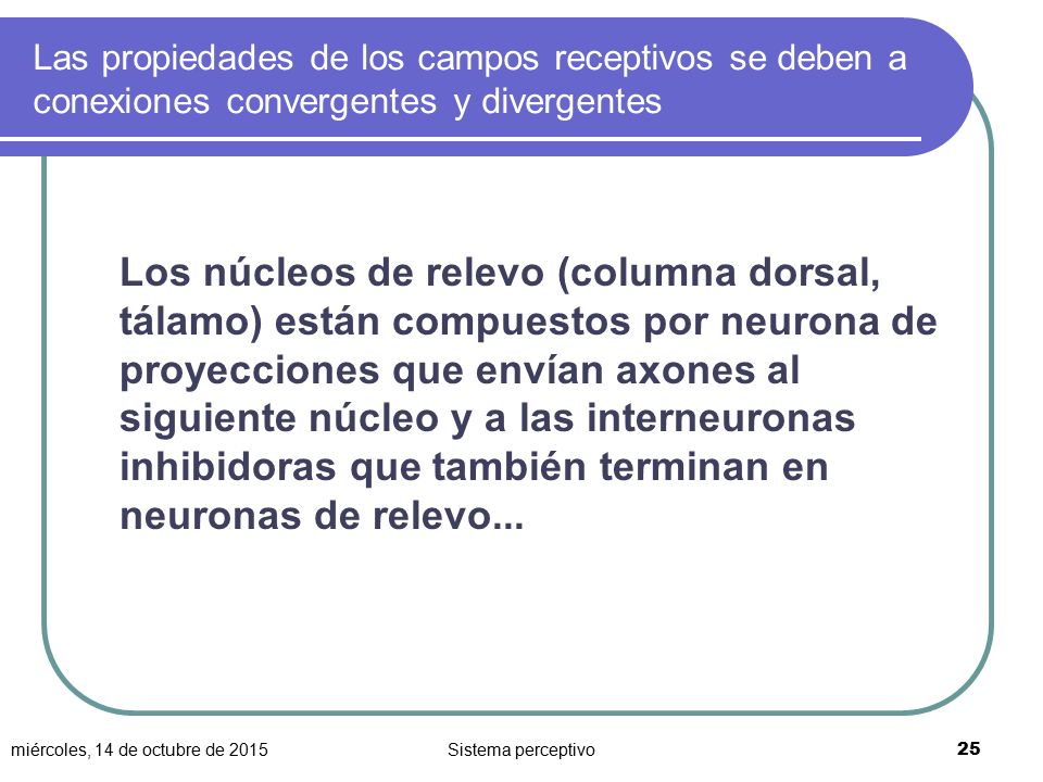 Las propiedades de los campos receptivos se deben a conexiones convergentes y divergentes