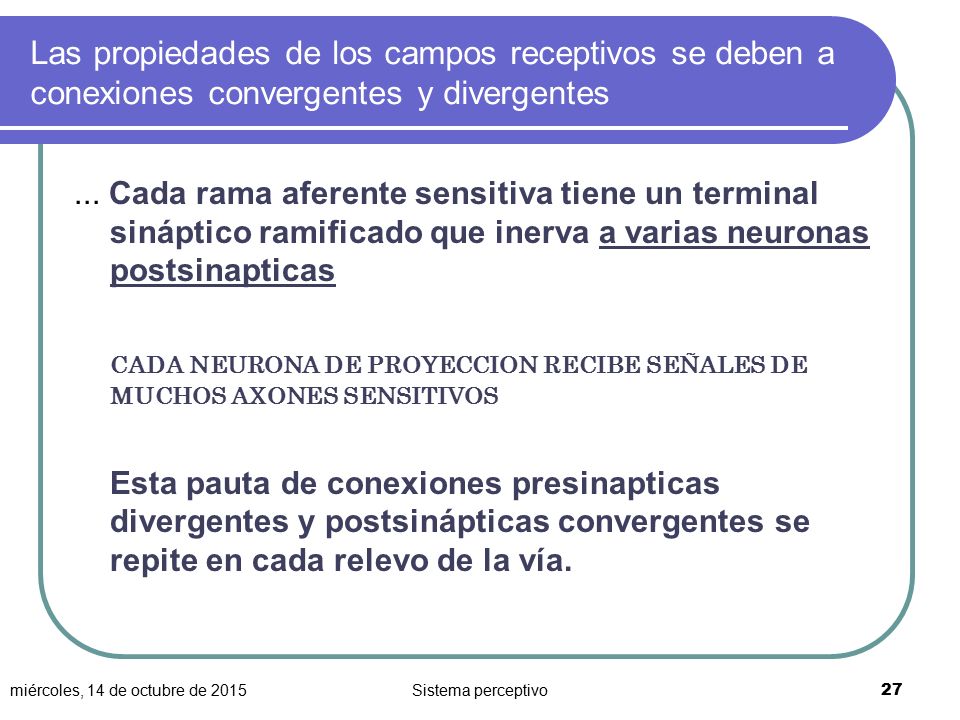 Las propiedades de los campos receptivos se deben a conexiones convergentes y divergentes