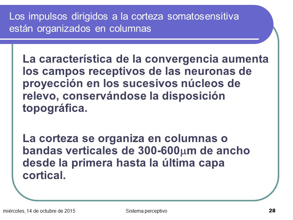 Los impulsos dirigidos a la corteza somatosensitiva están organizados en columnas