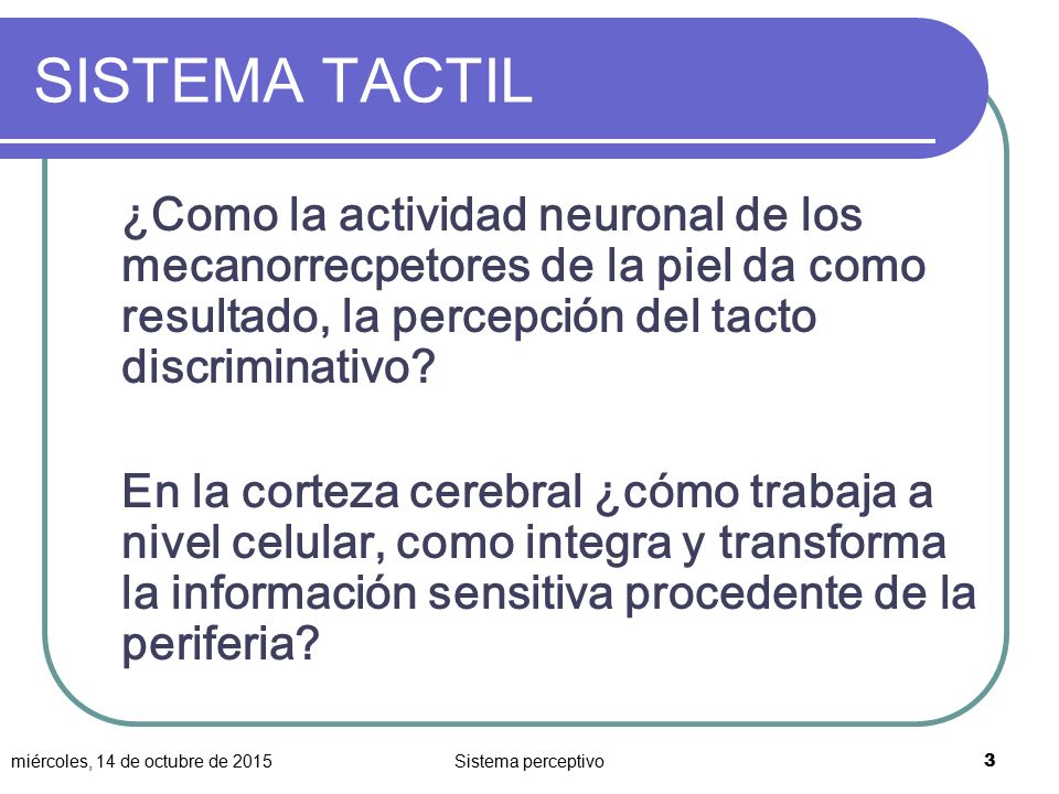 SISTEMA TACTIL ¿Como la actividad neuronal de los mecanorrecpetores de la piel da como resultado, la percepción del tacto discriminativo