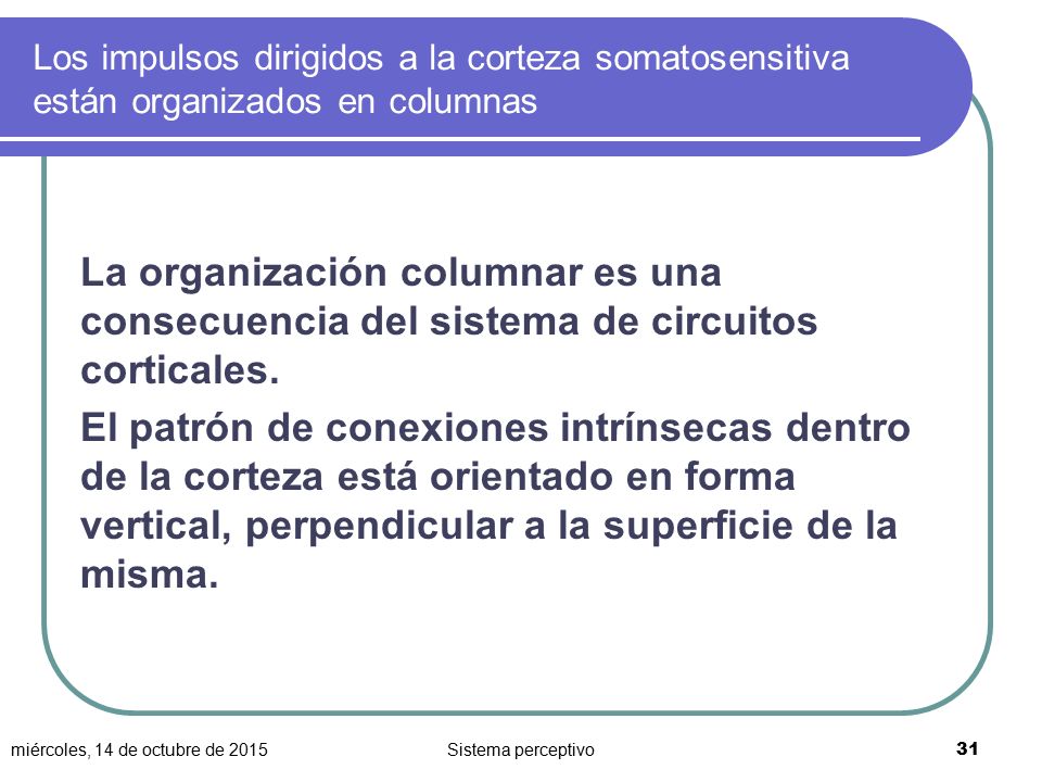 Los impulsos dirigidos a la corteza somatosensitiva están organizados en columnas