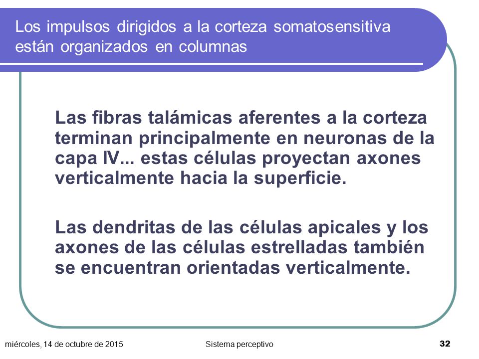 Los impulsos dirigidos a la corteza somatosensitiva están organizados en columnas