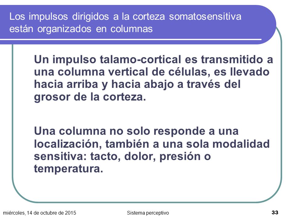 Los impulsos dirigidos a la corteza somatosensitiva están organizados en columnas