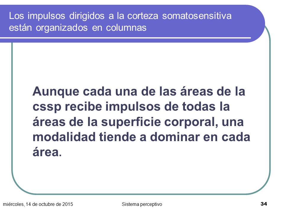 Los impulsos dirigidos a la corteza somatosensitiva están organizados en columnas