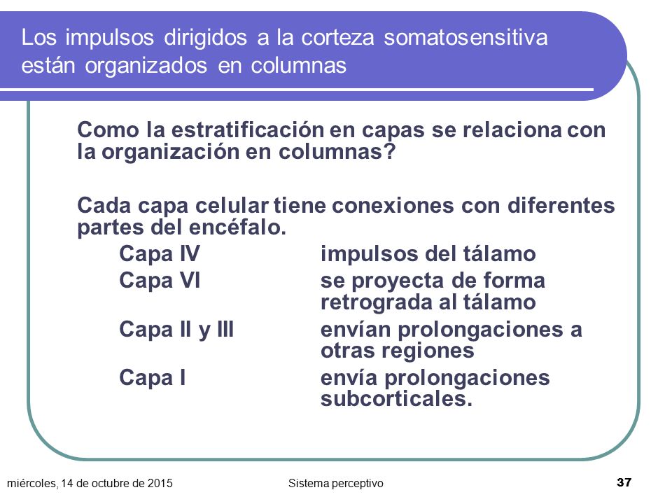 Los impulsos dirigidos a la corteza somatosensitiva están organizados en columnas