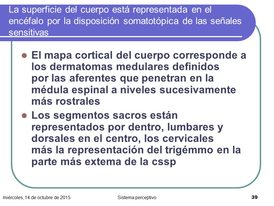La superficie del cuerpo está representada en el encéfalo por la disposición somatotópica de las señales sensitivas
