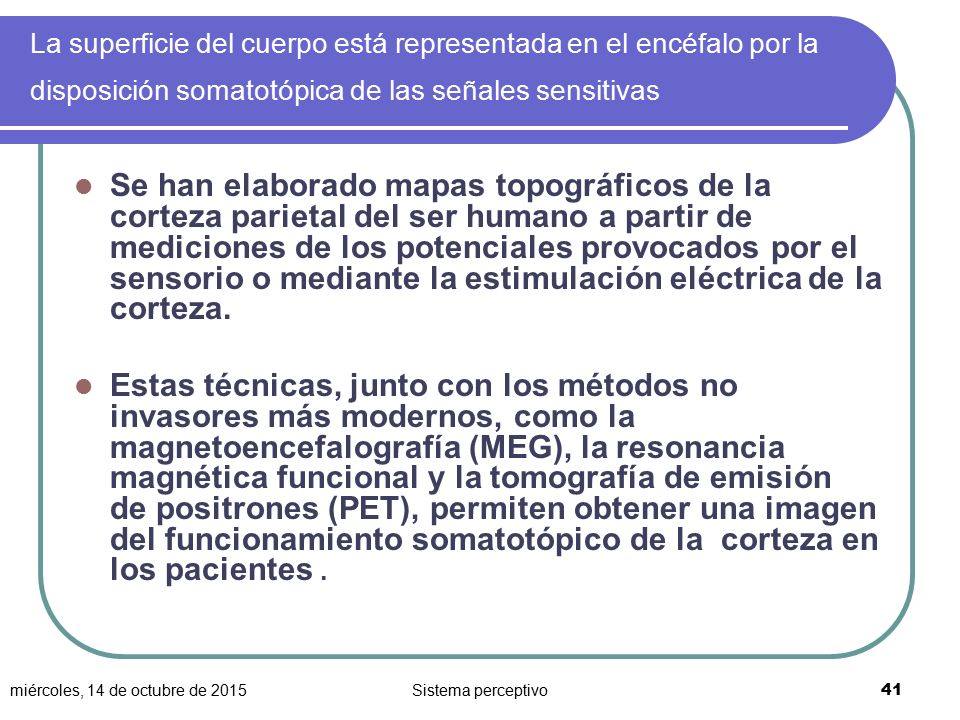 La superficie del cuerpo está representada en el encéfalo por la disposición somatotópica de las señales sensitivas