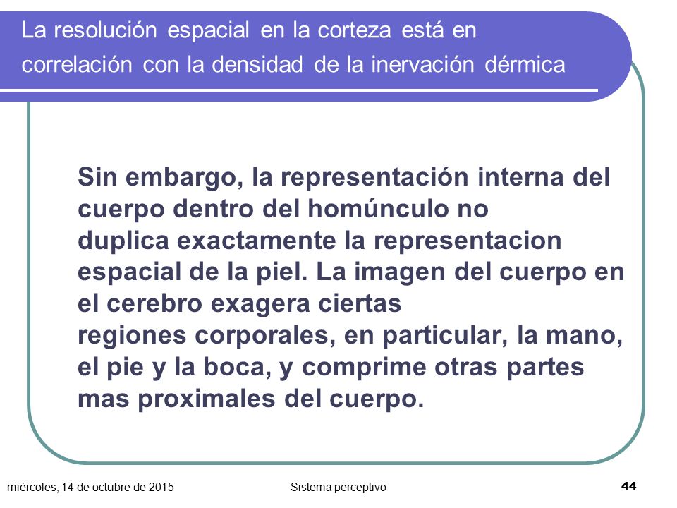La resolución espacial en la corteza está en correlación con la densidad de la inervación dérmica