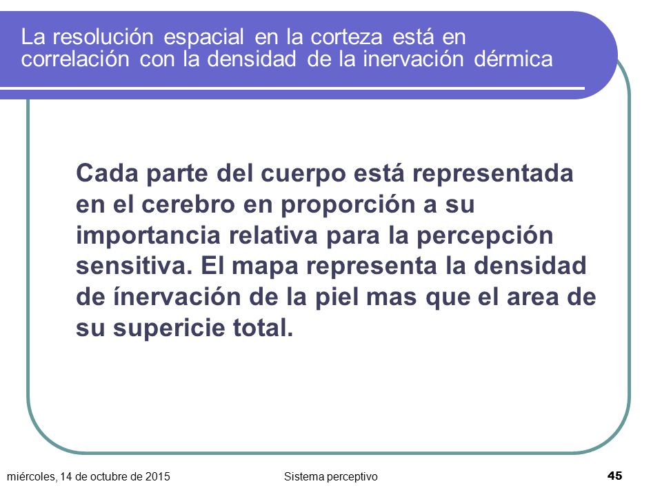 La resolución espacial en la corteza está en correlación con la densidad de la inervación dérmica