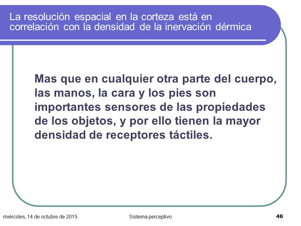 La resolución espacial en la corteza está en correlación con la densidad de la inervación dérmica