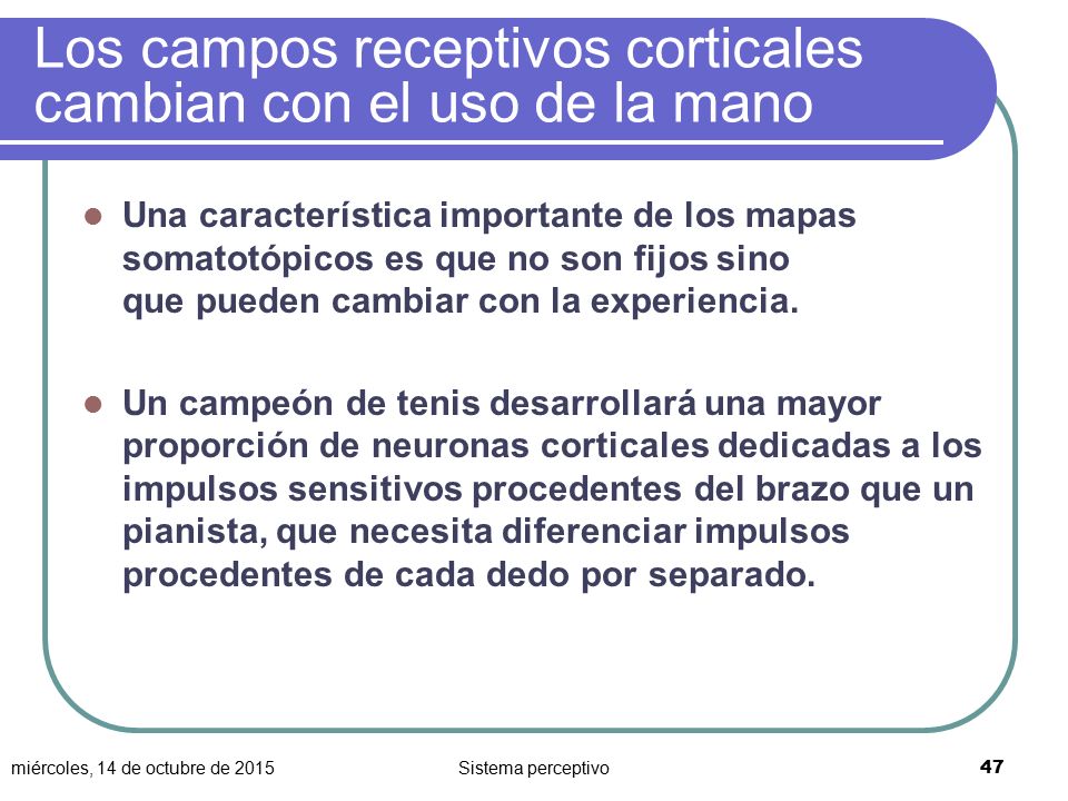 Los campos receptivos corticales cambian con el uso de la mano
