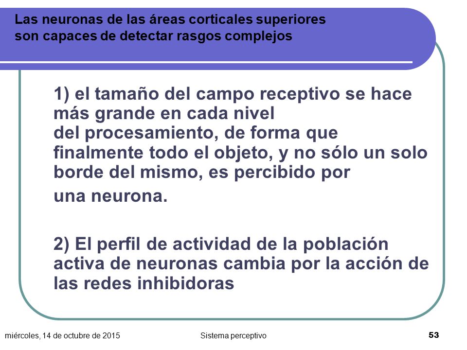 Las neuronas de las áreas corticales superiores son capaces de detectar rasgos complejos