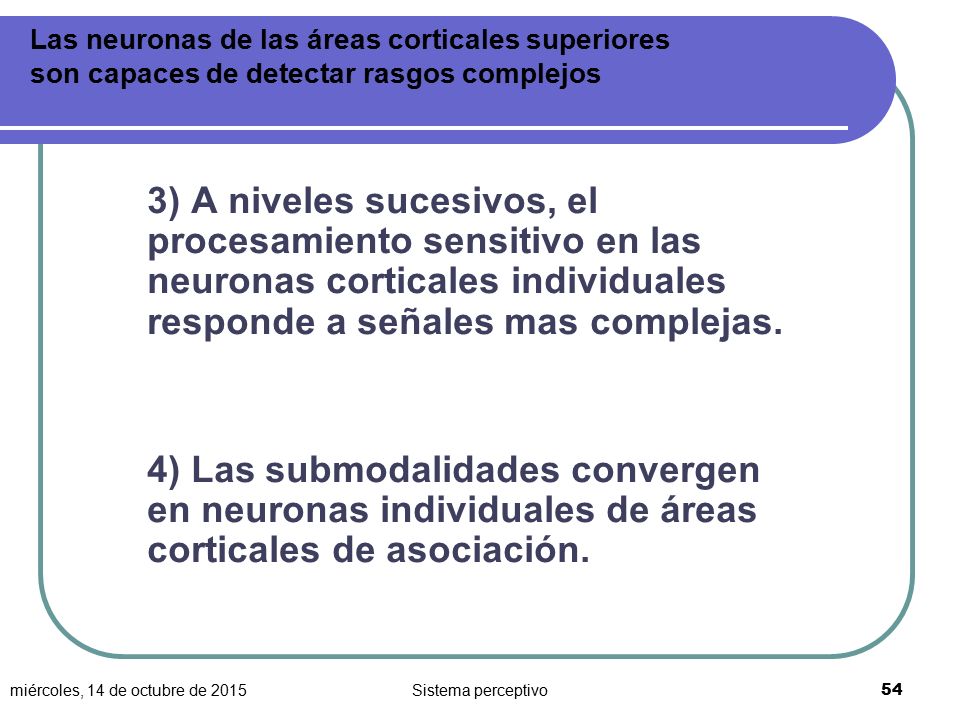 Las neuronas de las áreas corticales superiores son capaces de detectar rasgos complejos
