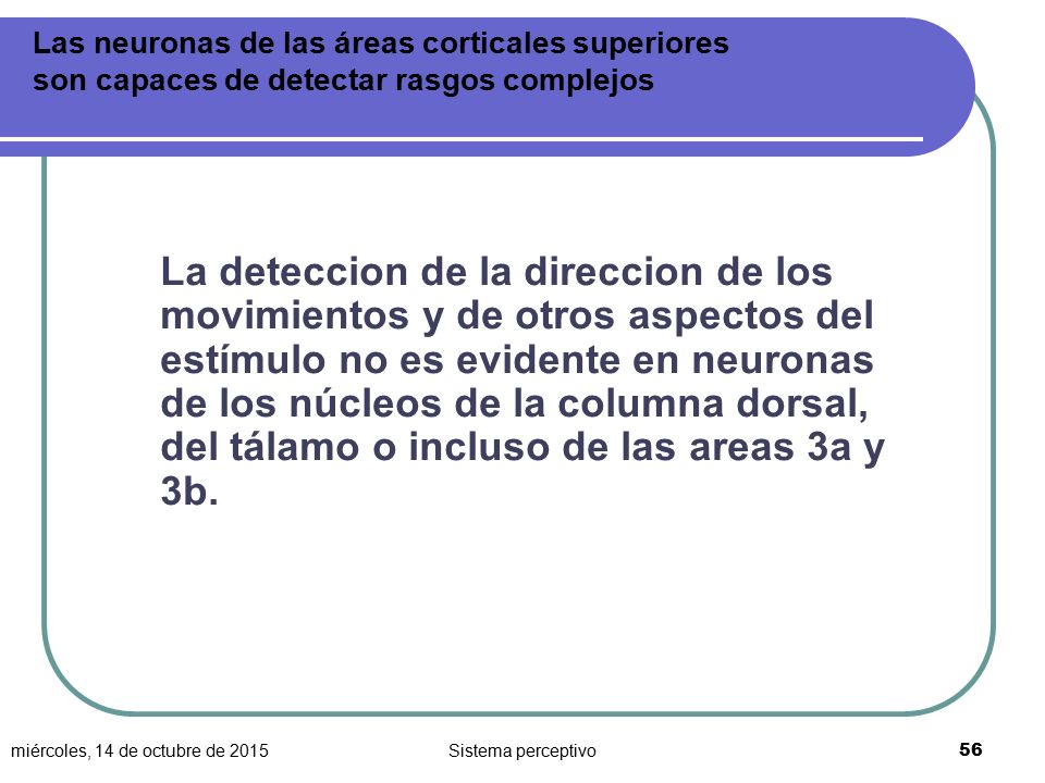 Las neuronas de las áreas corticales superiores son capaces de detectar rasgos complejos