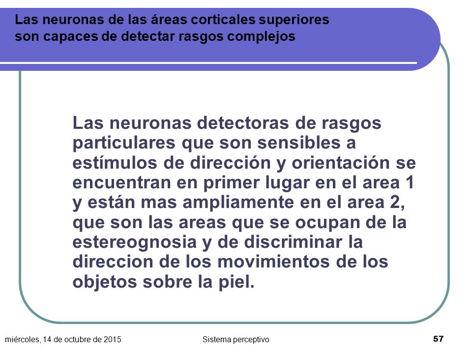 Las neuronas de las áreas corticales superiores son capaces de detectar rasgos complejos