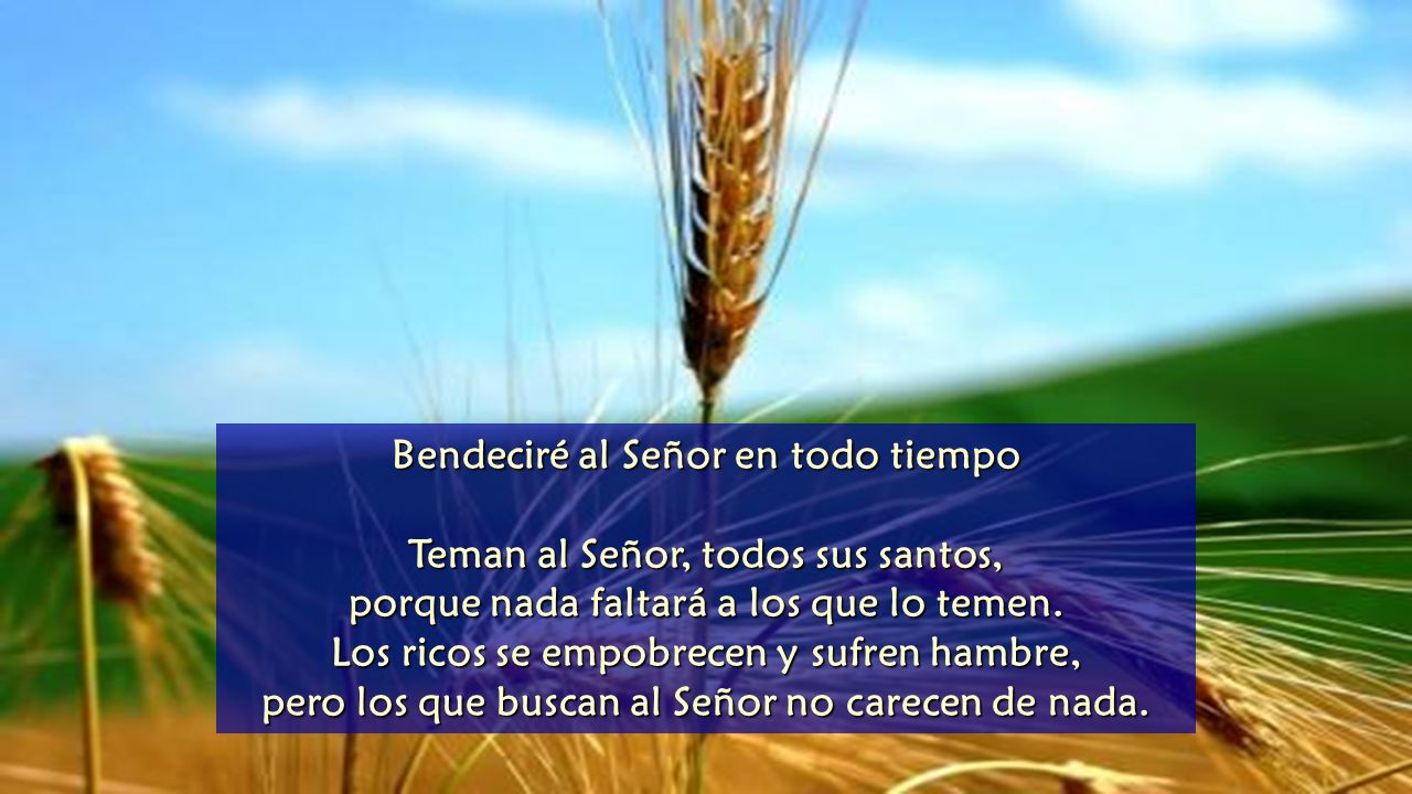 Bendeciré al Señor en todo tiempo Teman al Señor, todos sus santos,