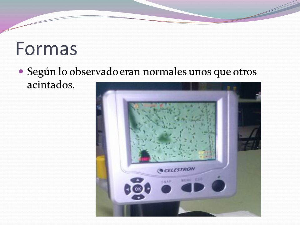 Formas Según lo observado eran normales unos que otros acintados.