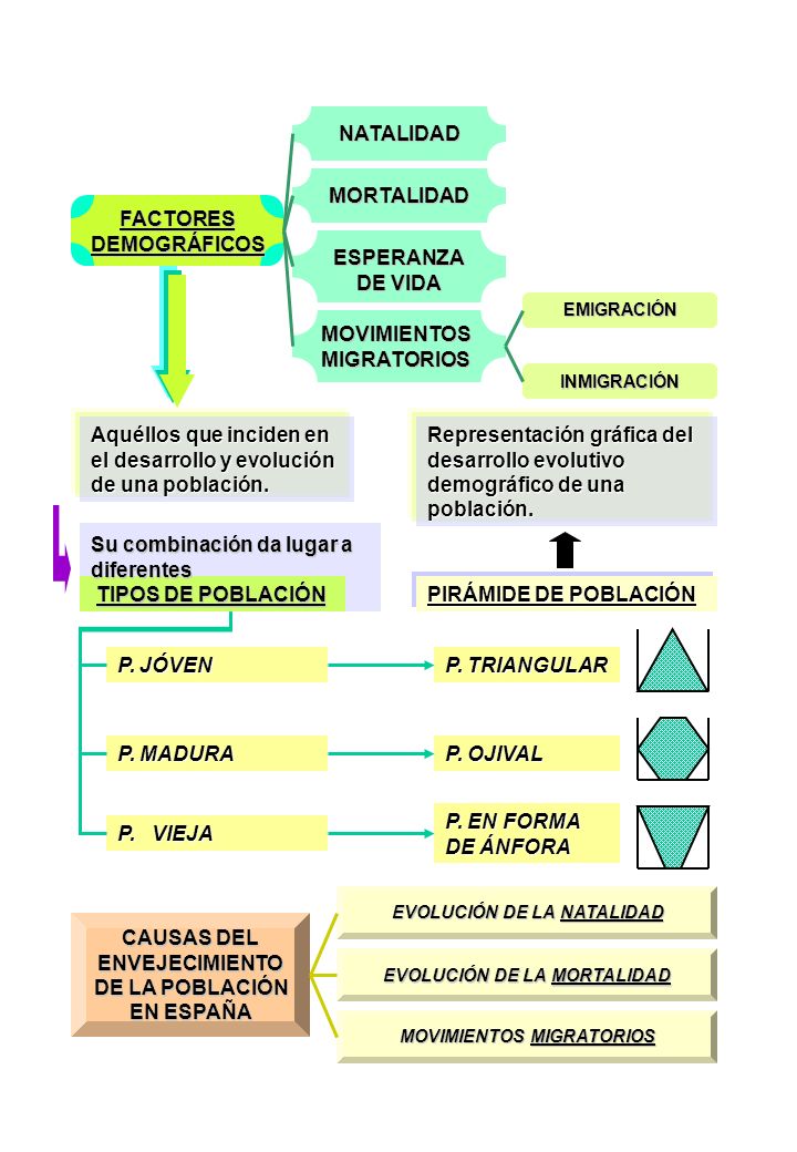 Su combinación da lugar a diferentes TIPOS DE POBLACIÓN