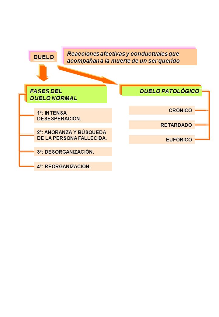 DUELO Reacciones afectivas y conductuales que acompañan a la muerte de un ser querido. FASES DEL. DUELO NORMAL.