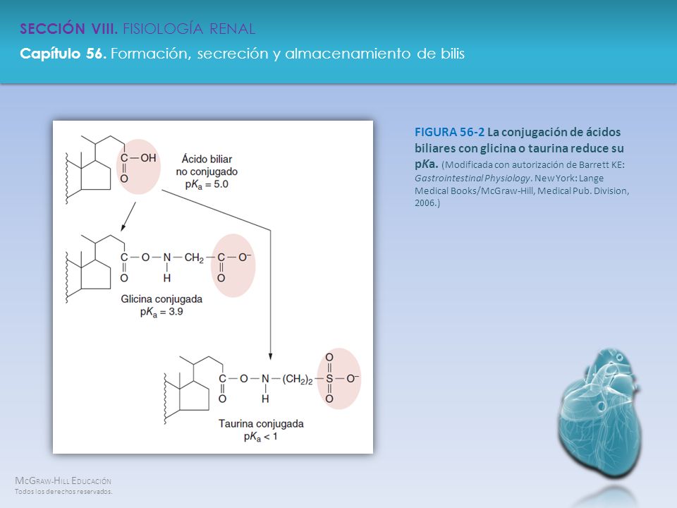 FIGURA 56-2 La conjugación de ácidos biliares con glicina o taurina reduce su pKa.