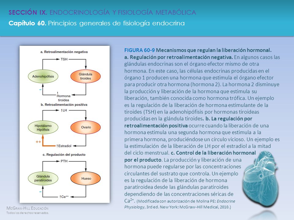 FIGURA 60-9 Mecanismos que regulan la liberación hormonal. a