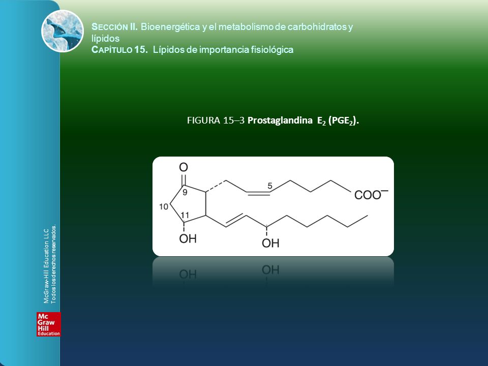 FIGURA 15–3 Prostaglandina E2 (PGE2).