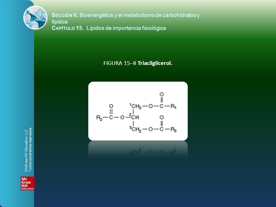 FIGURA 15–8 Triacilglicerol.