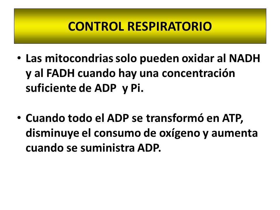 CONTROL RESPIRATORIO Las mitocondrias solo pueden oxidar al NADH y al FADH cuando hay una concentración suficiente de ADP y Pi.