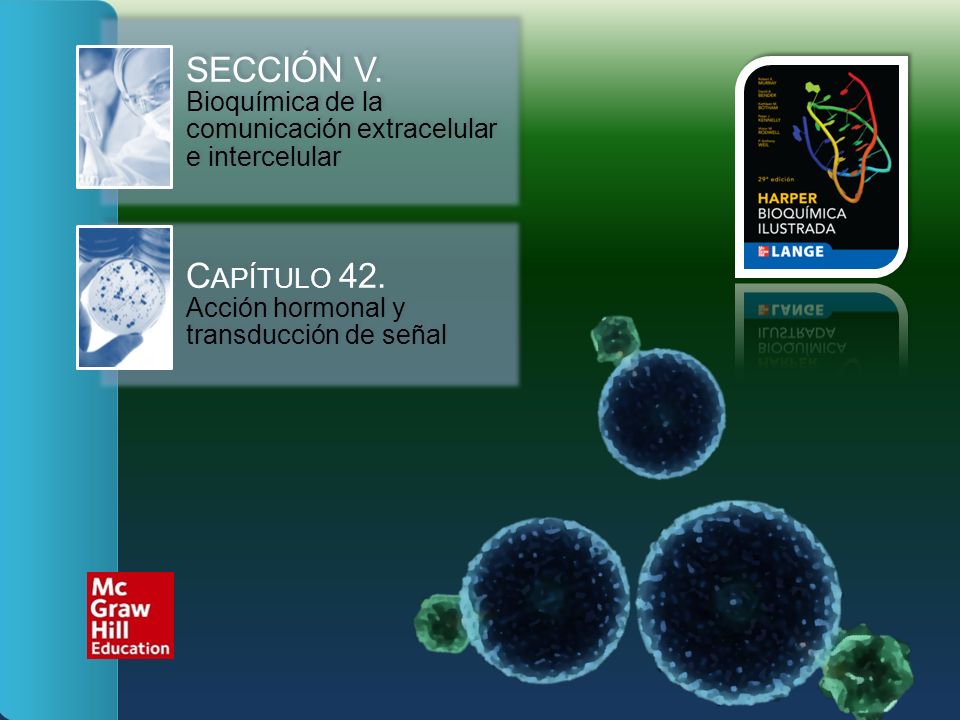 SECCIÓN V. Bioquímica de la comunicación extracelular e intercelular