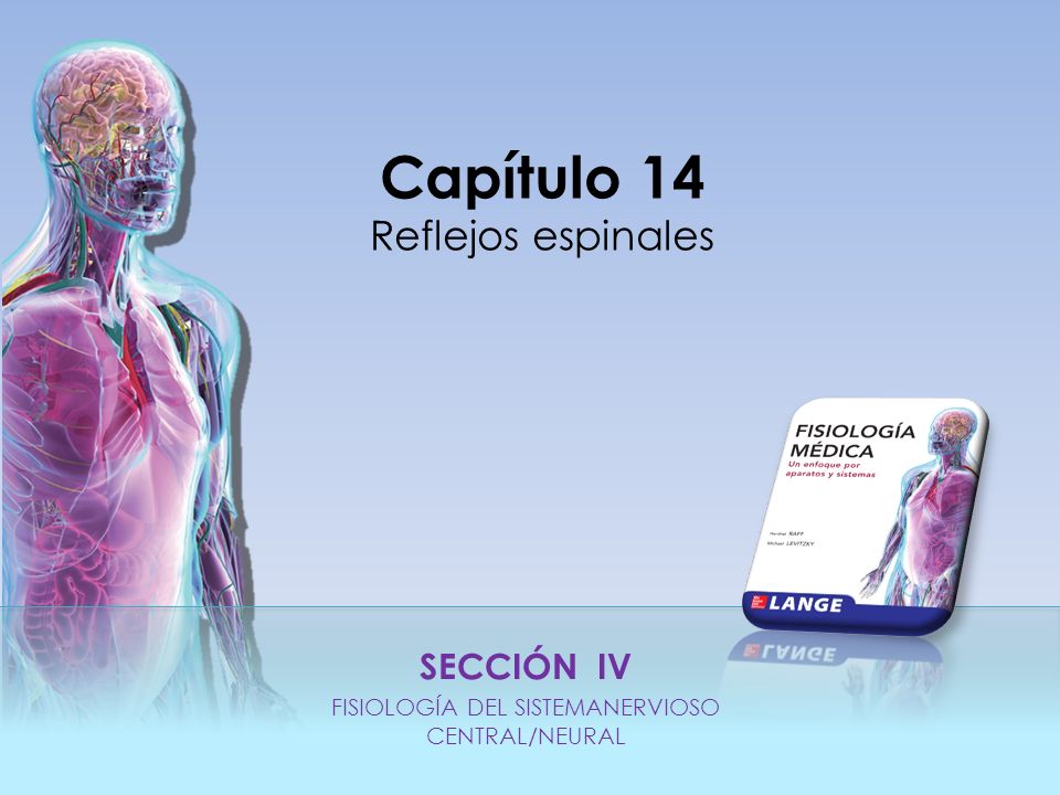 SECCIÓN IV FISIOLOGÍA DEL SISTEMANERVIOSO CENTRAL/NEURAL